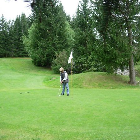 Haut De Chalet 6 P Villard De Lans Zewnętrze zdjęcie